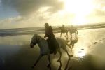 WILD COAST RUAPUKE HORSE ADVENTURES - Ruapuke, Waikato